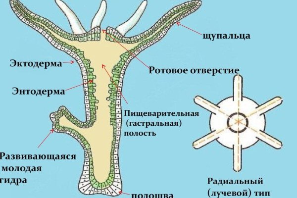 Кракен маркетплейс kraken clear com