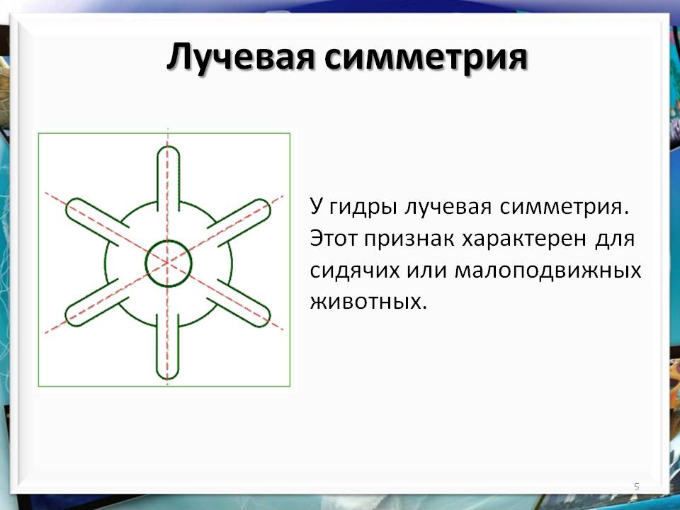 Кракен маркетплейс в москве