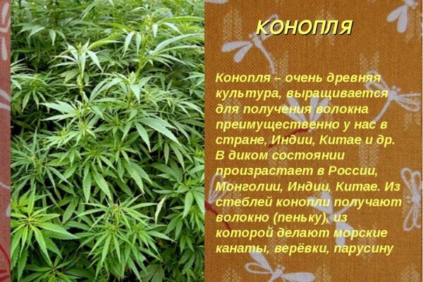 Kraken сайт kraken torion