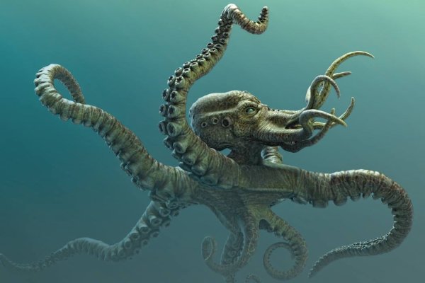 Kraken dark