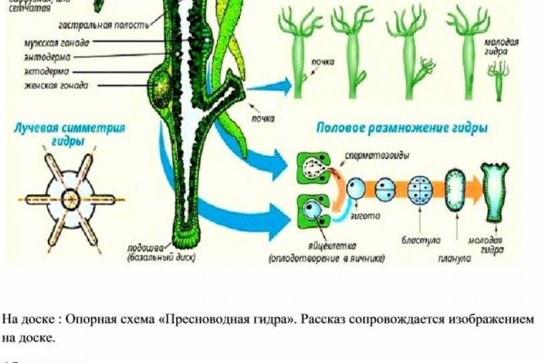 Кракен даркнет рекламы