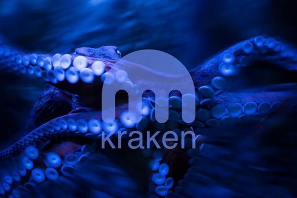 Kraken вход