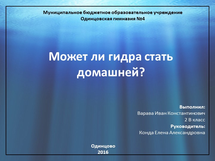 Kraken darknet kraken darknet 2n com