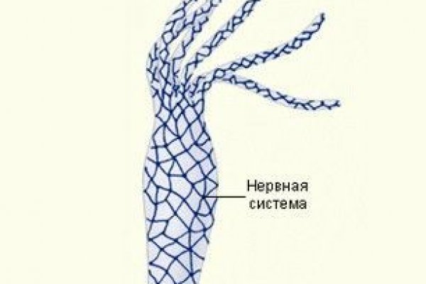 Кракен тор kraken dark